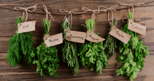 Herbes aromatiques