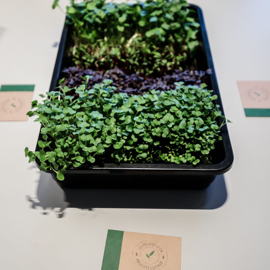 Food Dating 08_04_2019