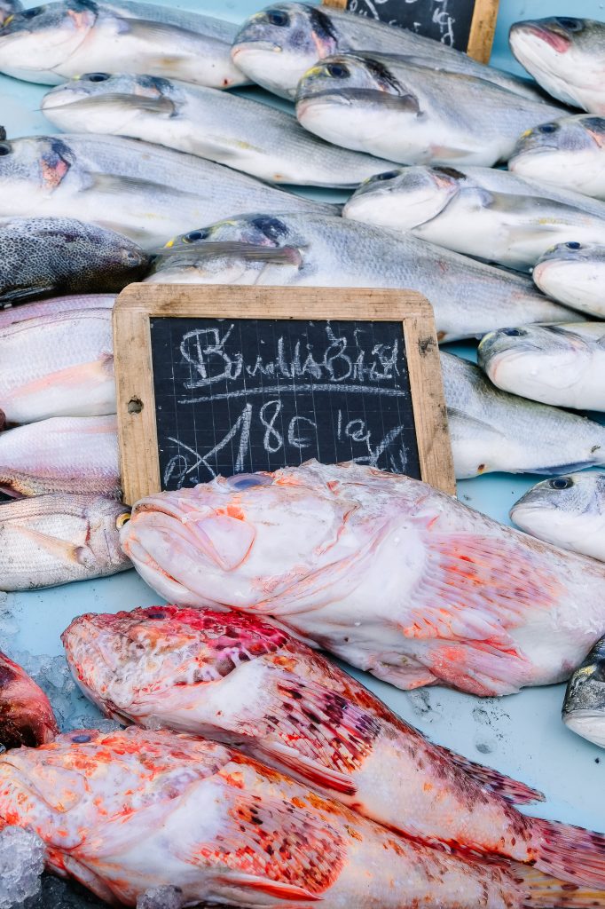 Poissons Stephatable 3 (1 sur 1)