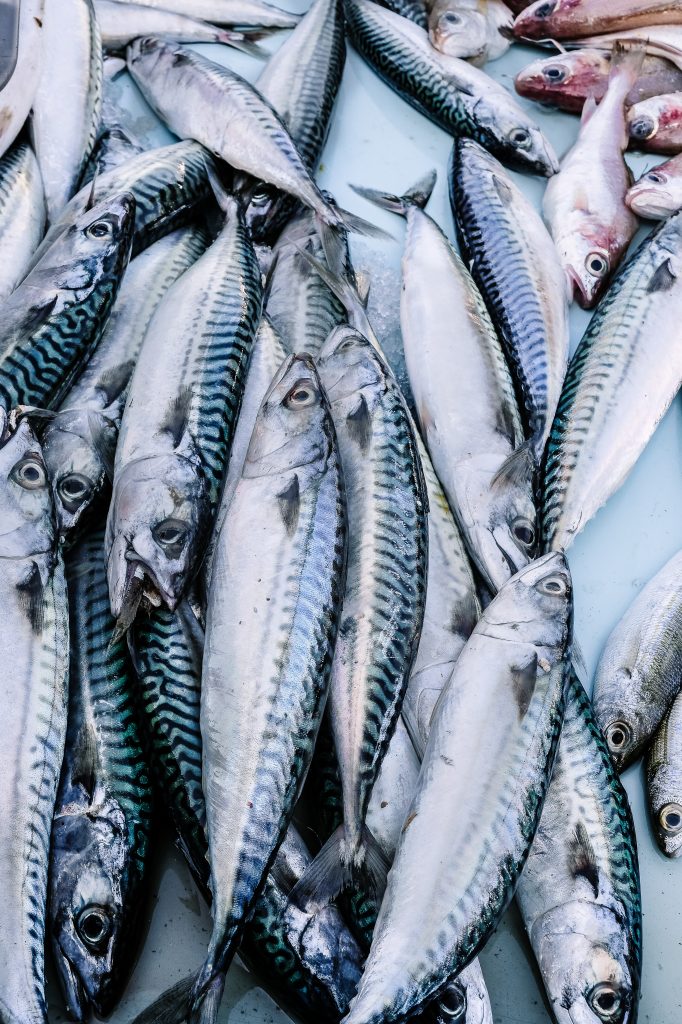 Poissons Stephatable 6 (1 sur 1)